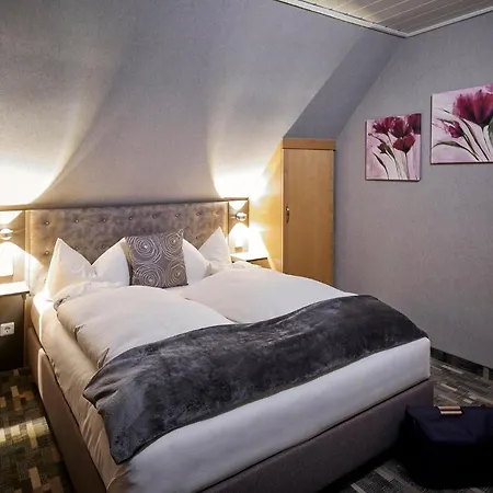 Hotel Willinger Hof Willingen (Upland)
