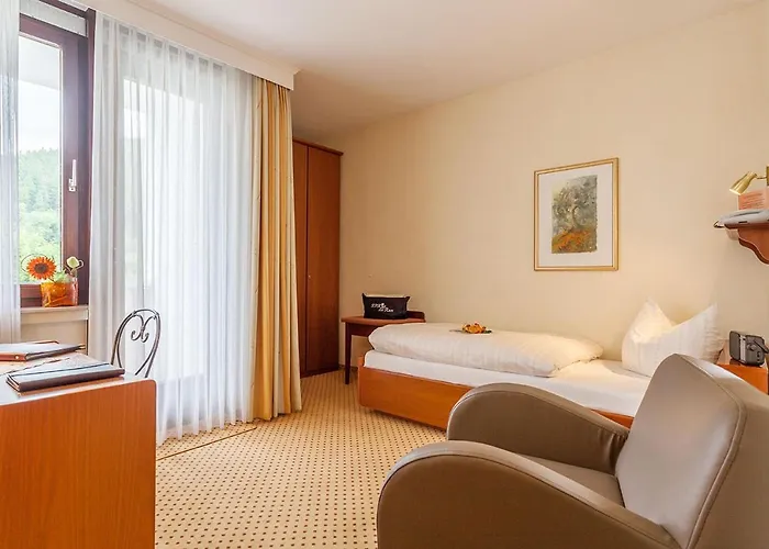 Willino Privathotel Willingen (Upland)