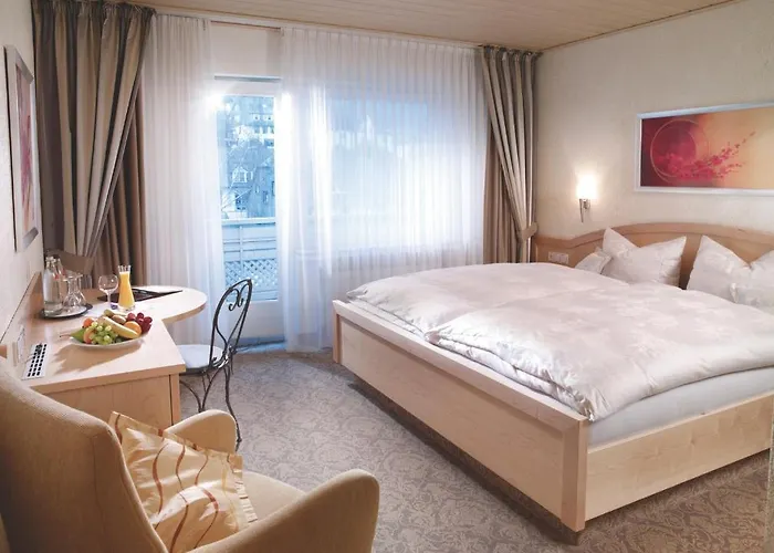 Ξενοδοχείο Willino Privathotel Willingen (Upland)